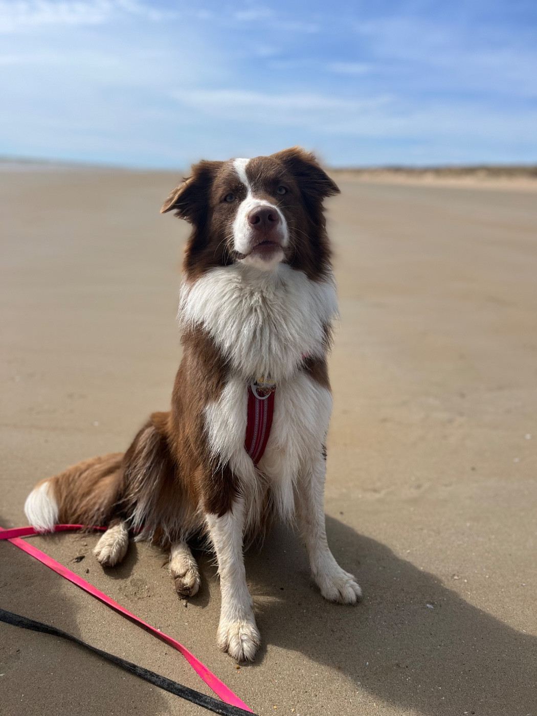 Ultra chic Kyra Des Perles Du Lac